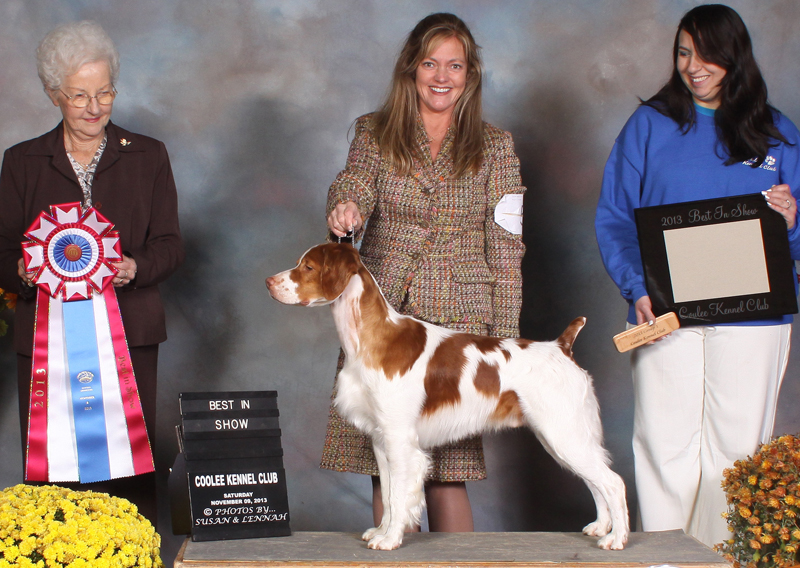 National Specalty Breed Best in Show