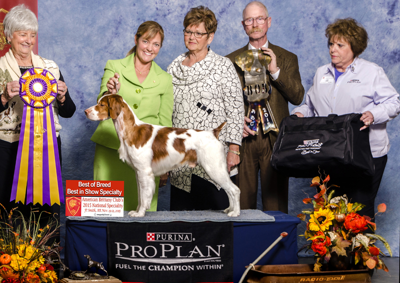 National Best in Show - Hobey